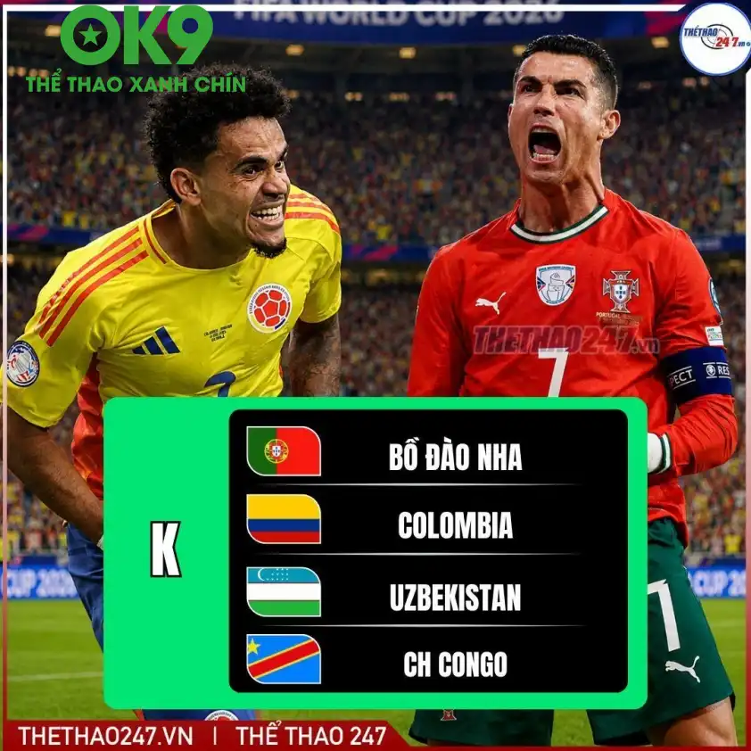 Ronaldo và những dự định tương lai